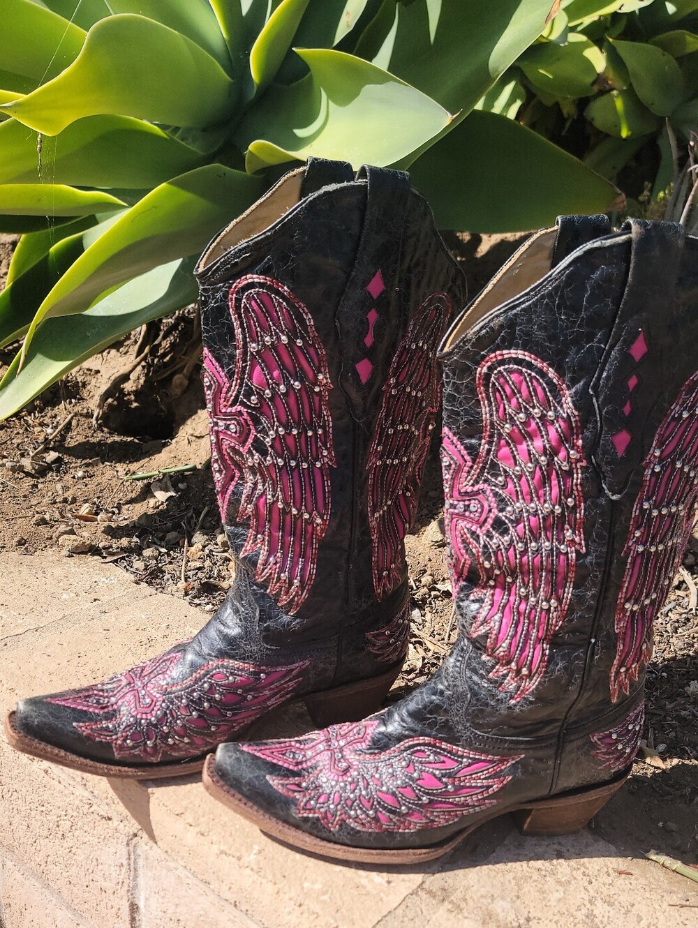 Corral Black Pink Angel Wings Leather Boots 🪽🩷✝️